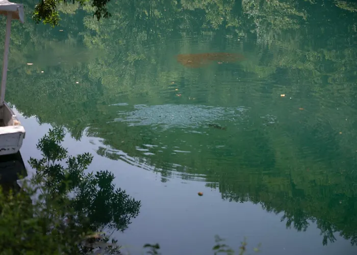 Moonlight & Starlight Landhaus *