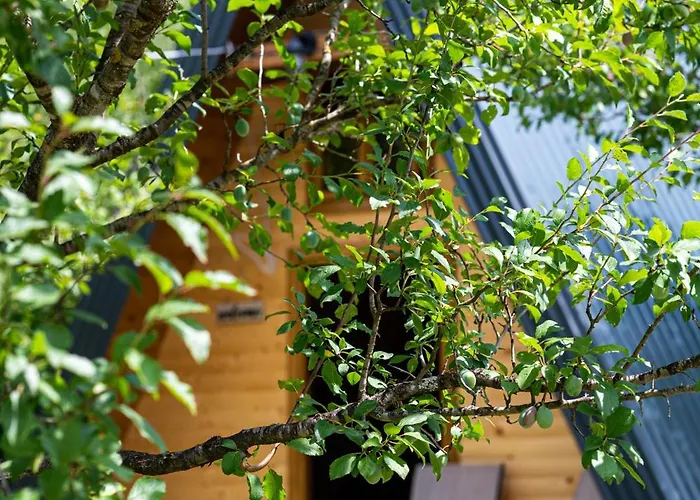 Moonlight & Starlight * Orasac